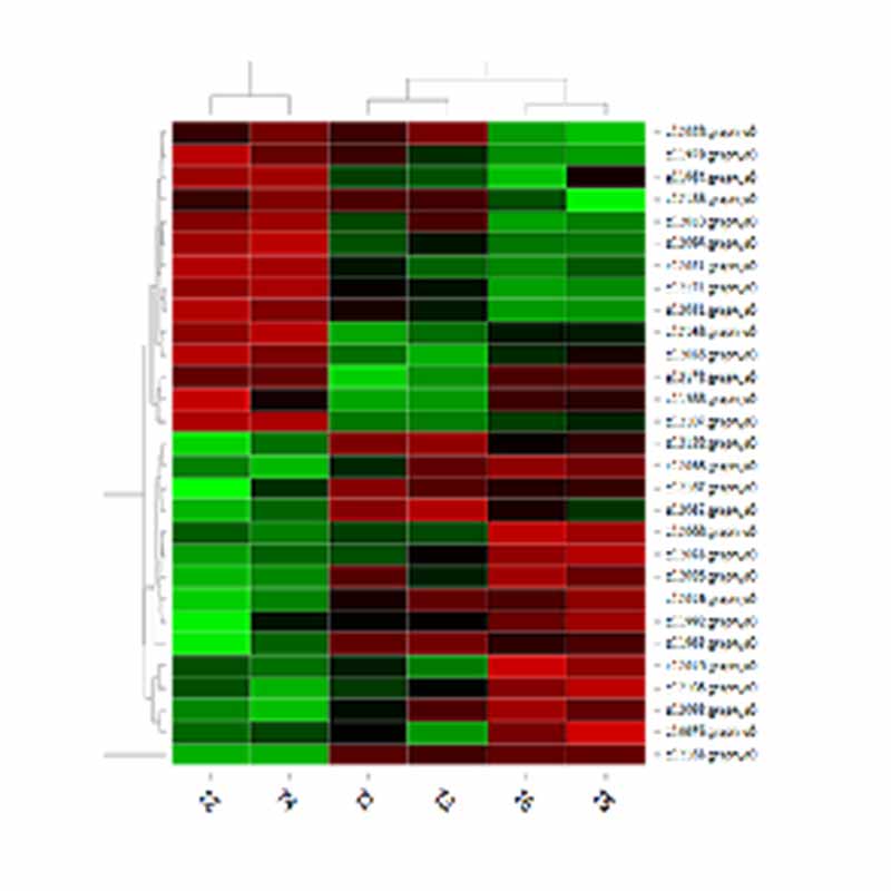 Secuenciación de ARNm de lonxitude completa-Nanopore