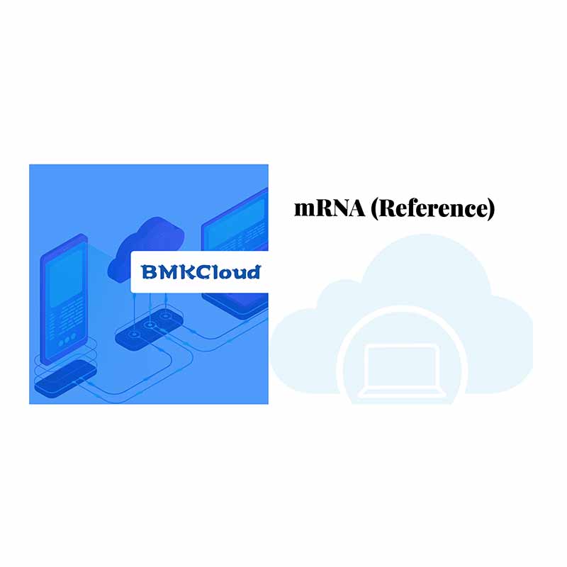mRNA (referenca)