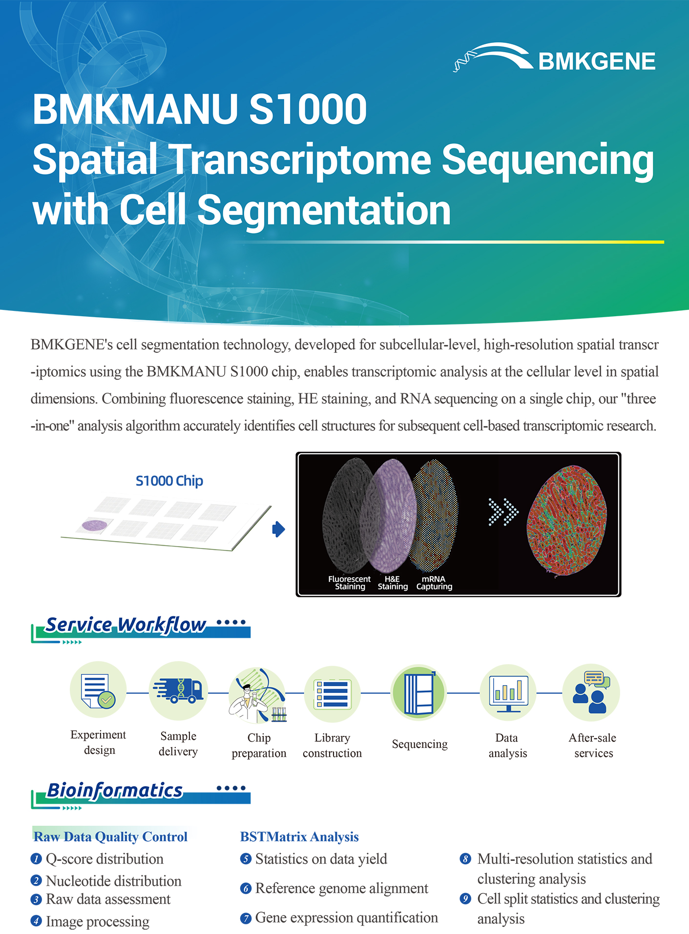 https://www.bmkgene.com/uploads/BMKMANU-S1000-Spatial-Transcriptome-Sequencing-with-Cell-Segmentation-BMKGENE-2311.pdf