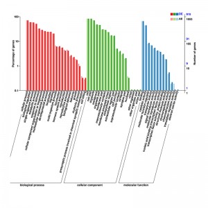 Factory wholesale Gwas Data Analysis - circRNA sequencing – Illumina – Biomarker