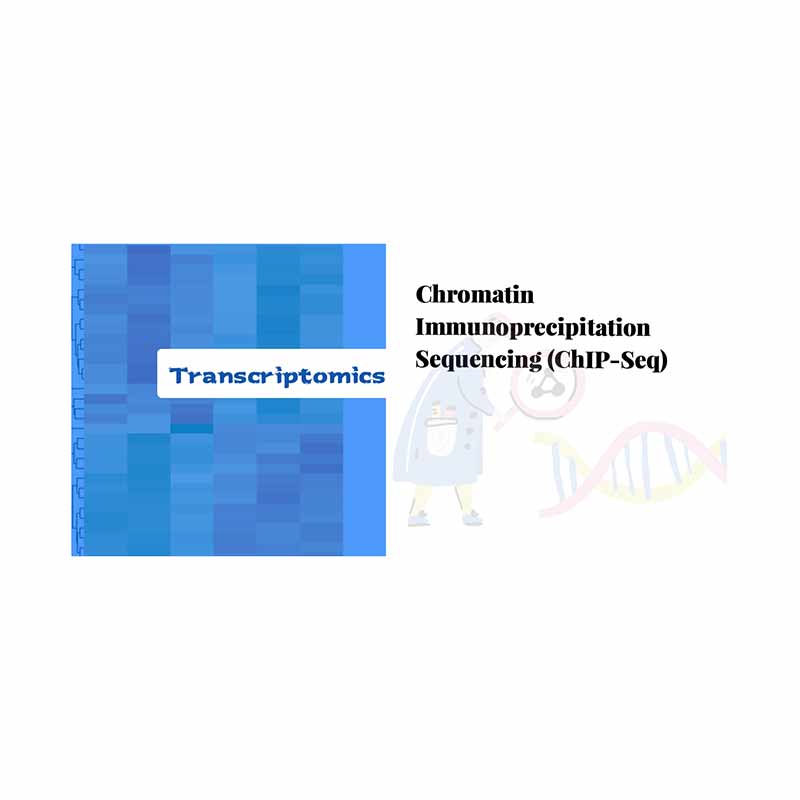 Chromatin Immunoprecipitation Sequencing (ChIP-seq)