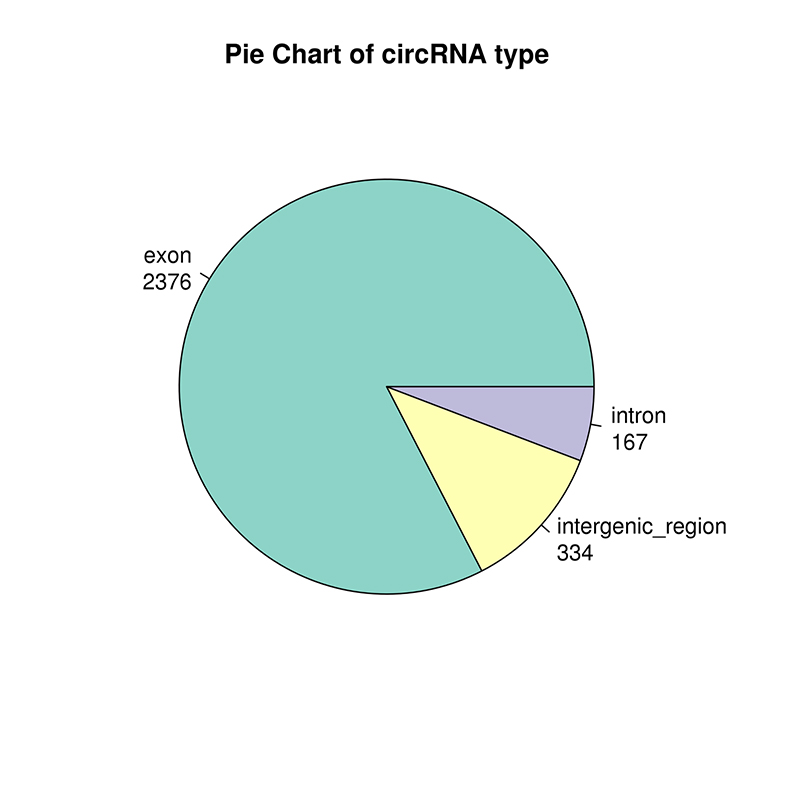 circRNA sequencing-Illumina