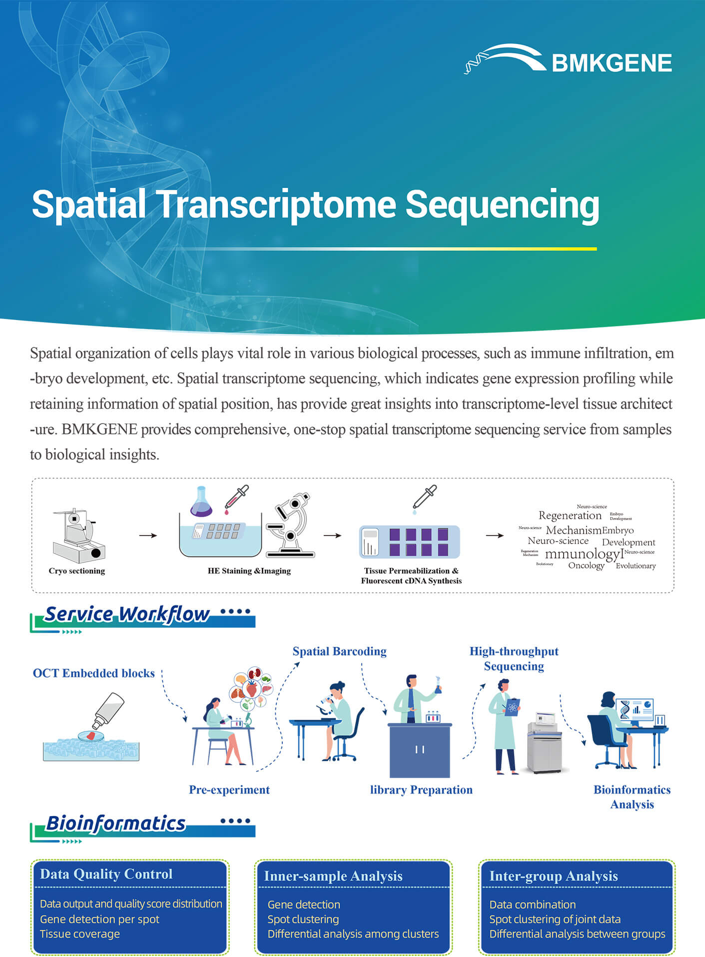 https://www.bmkgene.com/uploads/Spatial-Transscriptome-Sequencing-10X-BMKGENE-2311.pdf