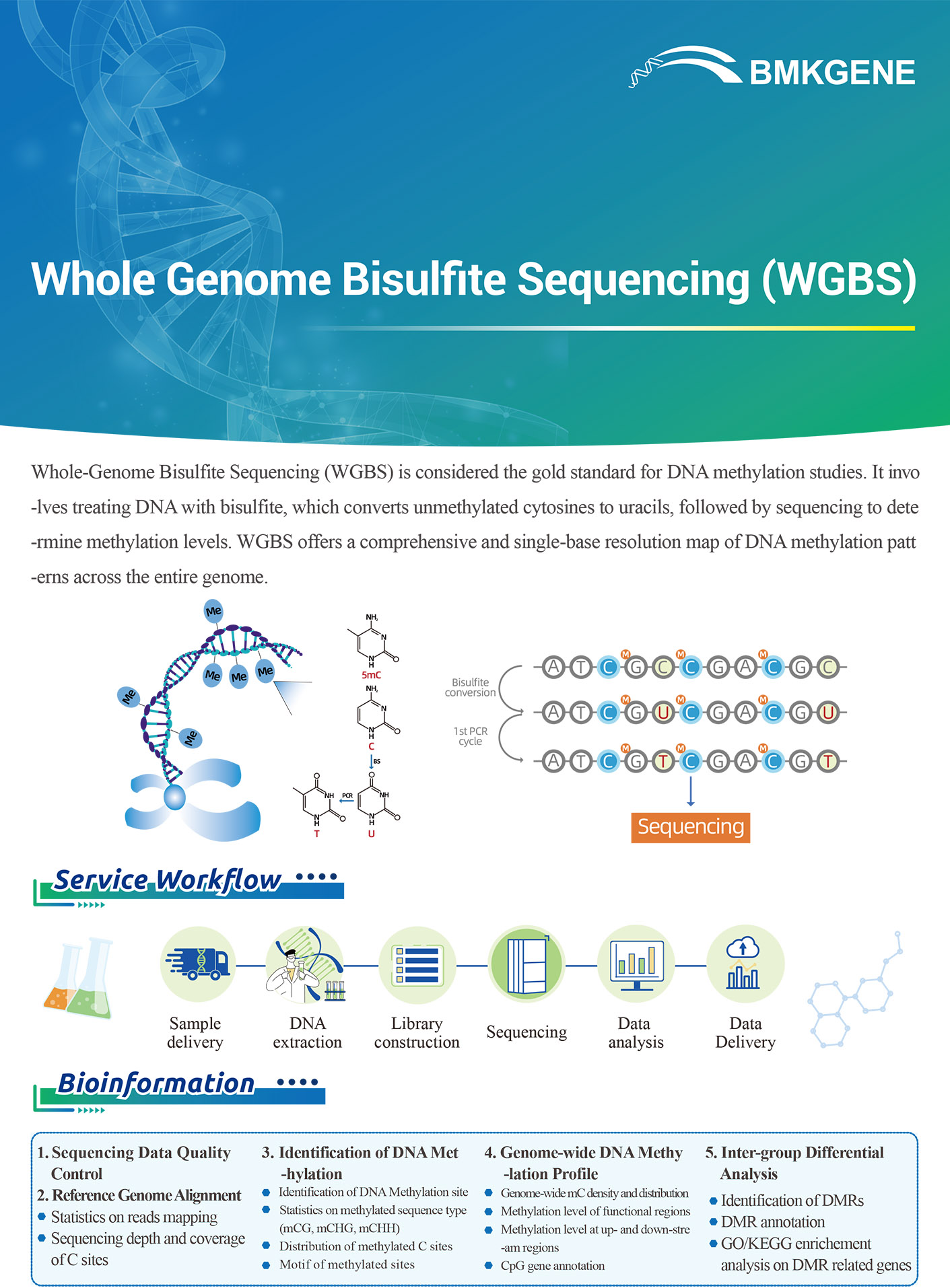 https://www.bmkgene.com/uploads/Whole-Genome-Bisulfite-Sequencing-WGBS-BMKGENE-2310.pdf