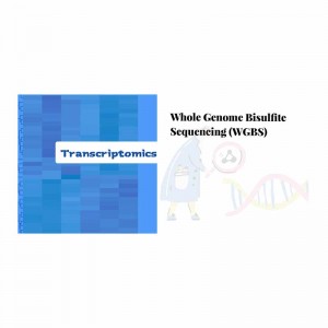 Renewable Design for High Throughput Sequencing - Whole genome bisulﬁte sequencing – Biomarker