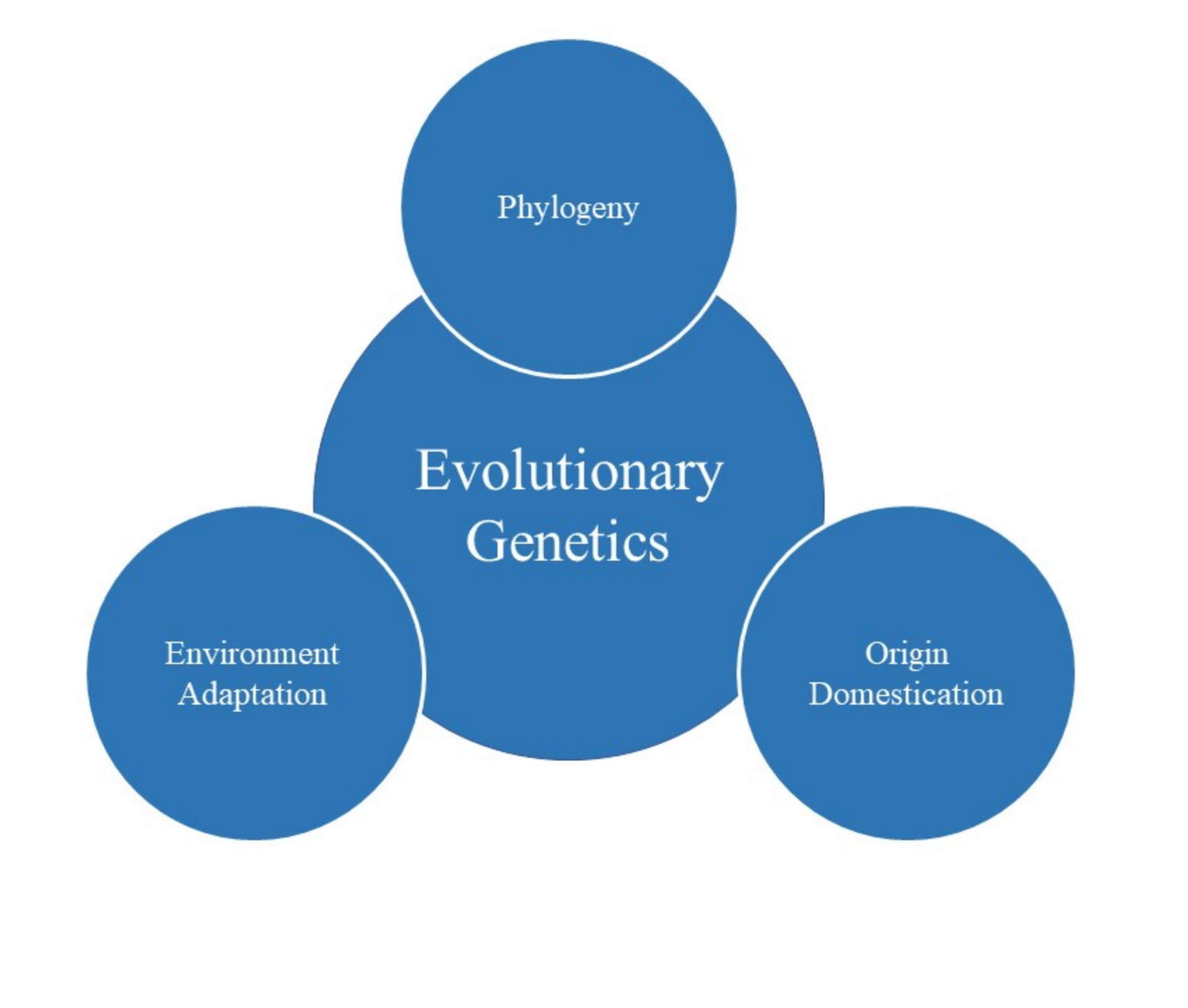 Evolúsjonêre genetika