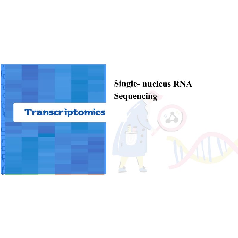 Single-nucleus RNA Sequencing