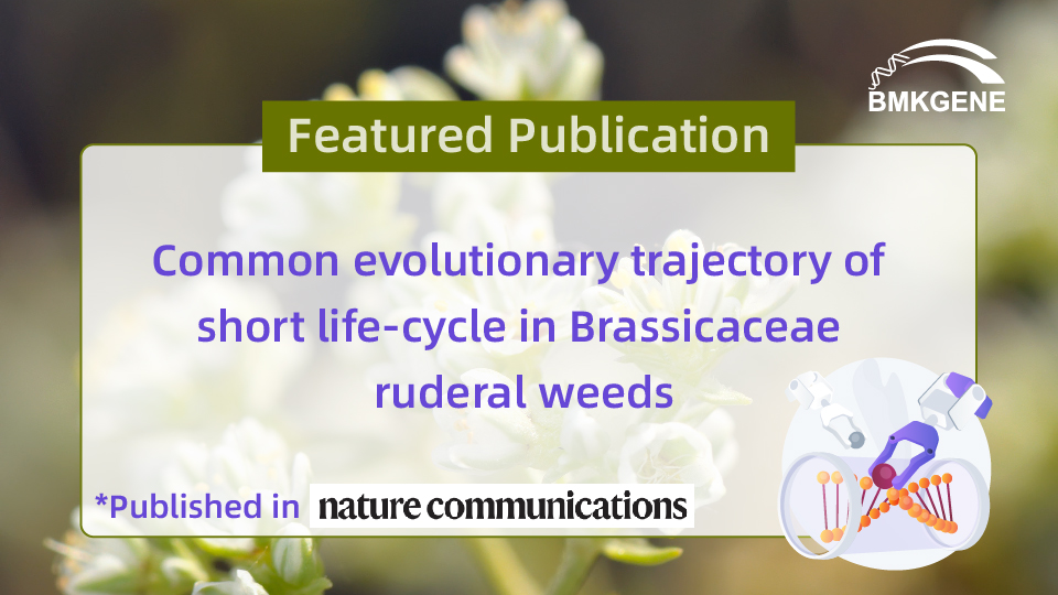 Рекомендуемая публикация – Общая эволюционная траектория короткого жизненного цикла рудеральных сорняков Brassicaceae.