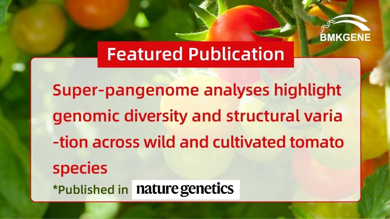 Featured Publication - Super-pangenome-analyzes markearje genomysk ferskaat en strukturele fariaasje oer wylde en kultivearre tomaatsoarten