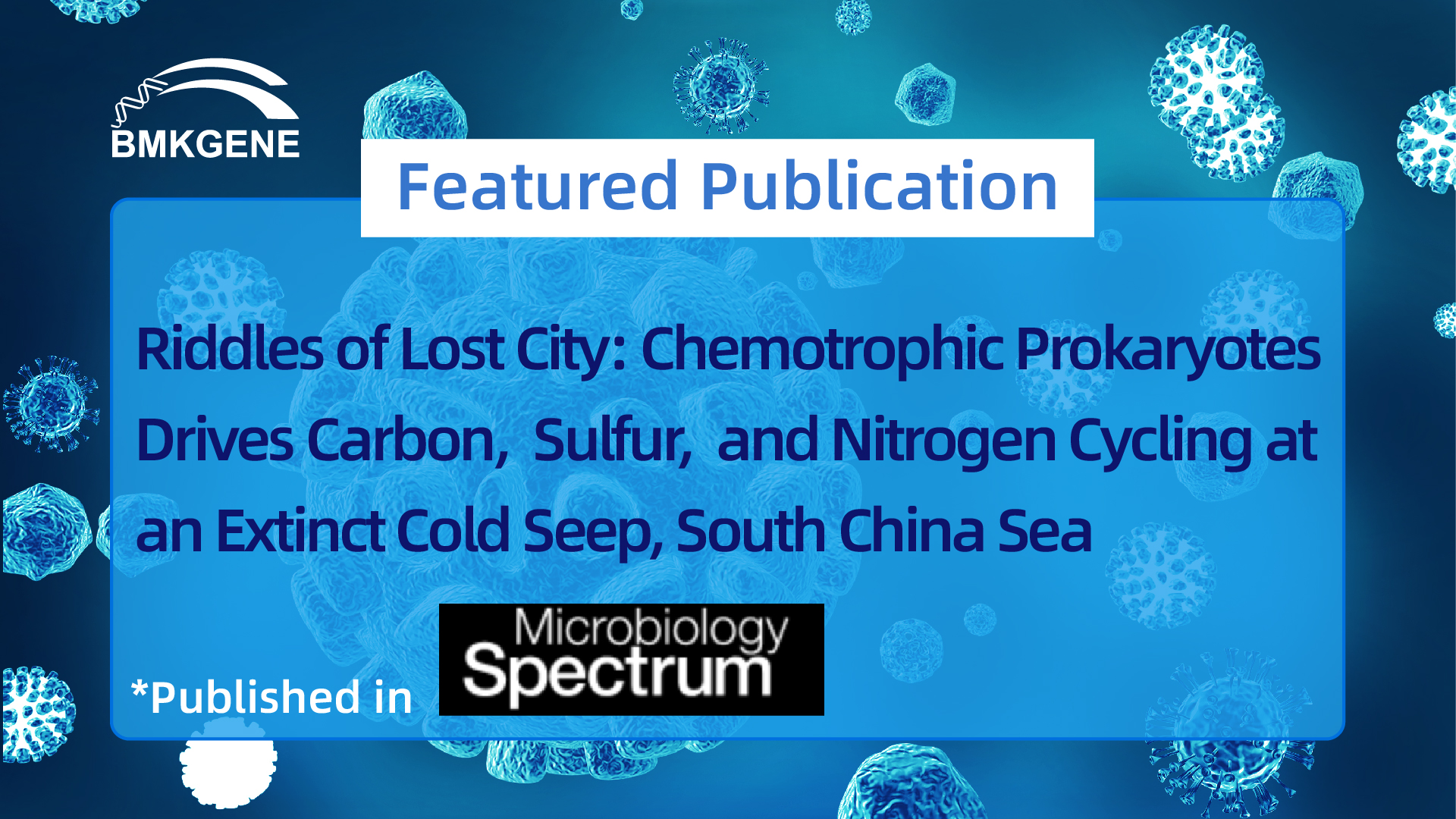 Featured Publication-Riddles of Lost City: Chemotrophic Prokaryotes Drives Carbon, Sulfur, and Nitrogen Cycling at in Extinct Cold Seep, Súd-Sineeske See