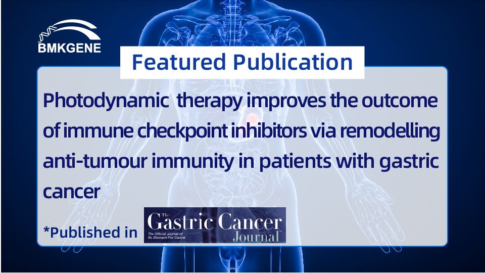 Empfohlene Veröffentlichung – Photodynamische Therapie verbessert die Ergebnisse von Immun-Checkpoint-Inhibitoren durch Umbau der Anti-Tumor-Immunität bei Patienten mit Magenkrebs, veröffentlicht in Gastric C...