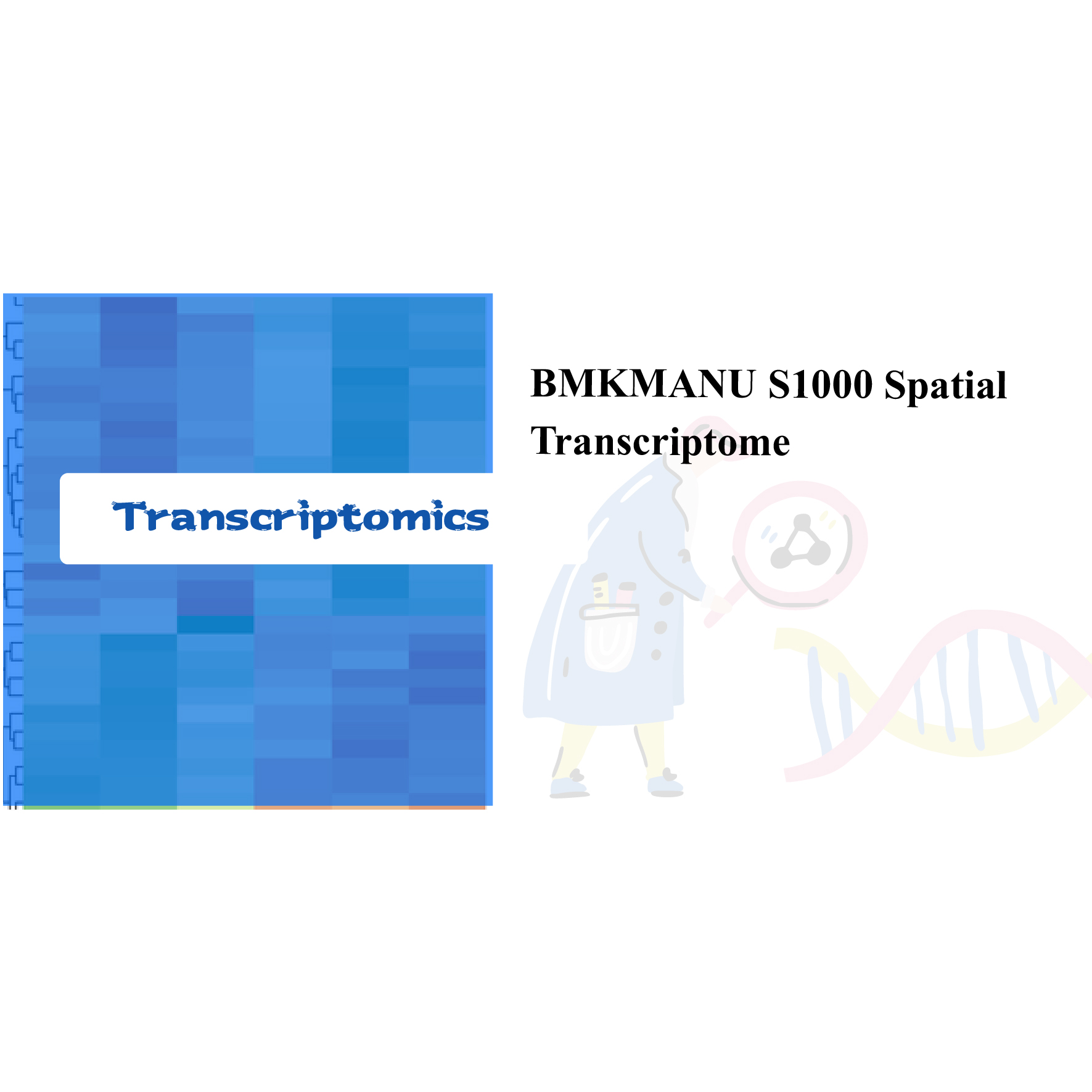 BMKMANU S1000 transkriptome espaziala