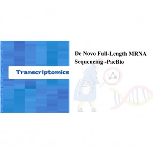 Dilyniant mRNA hyd llawn -PacBio