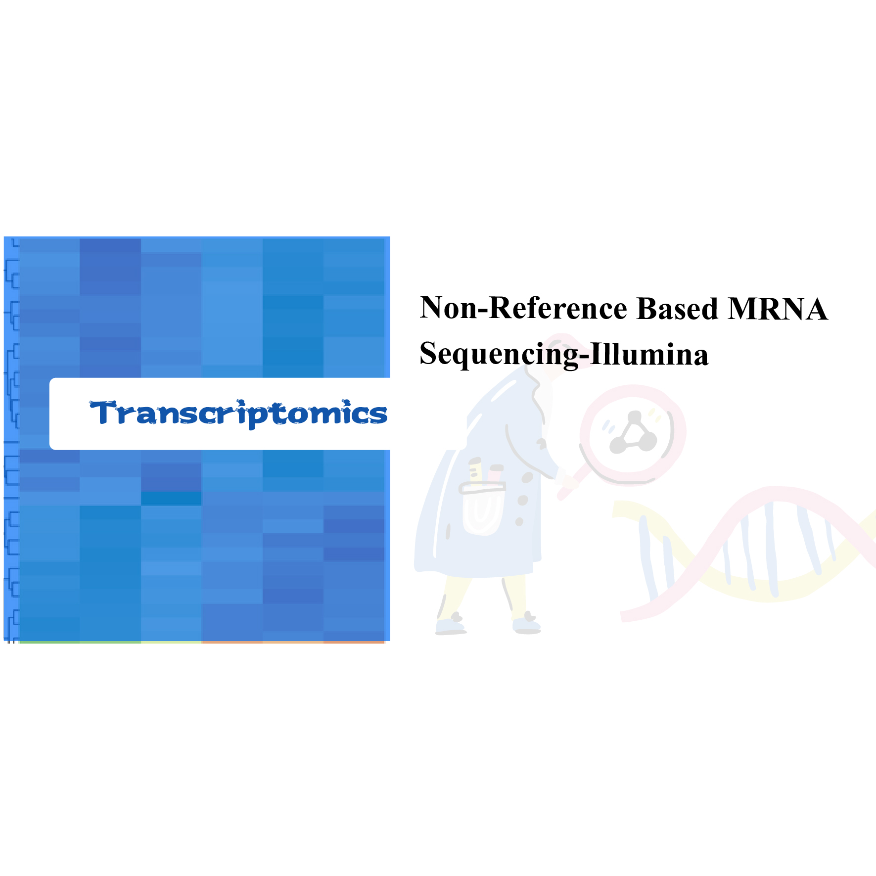 Nereferenční sekvenování mRNA-Illumina
