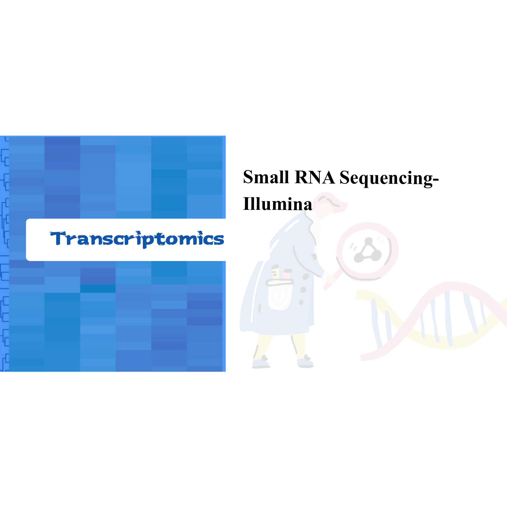 Small RNA シーケンス - イルミナ