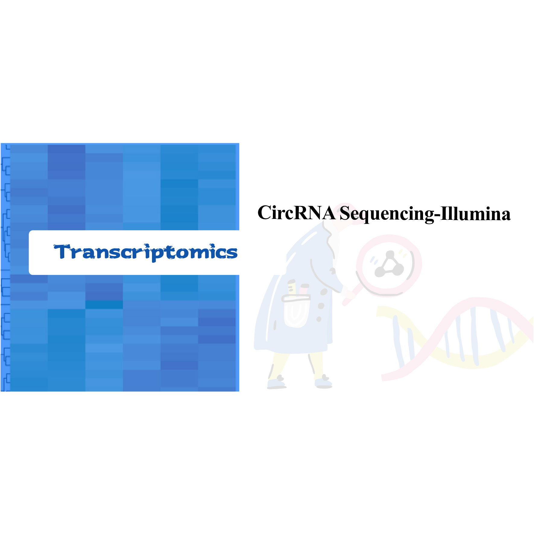 circRNA секвенциясы - Иллюмин