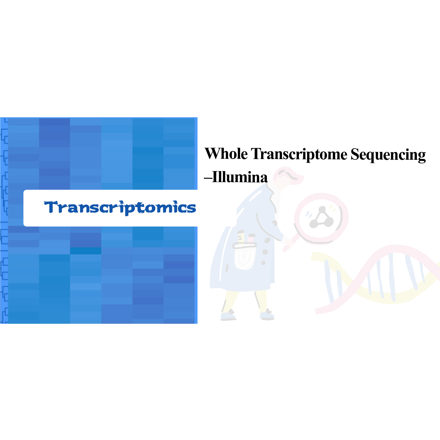 Folsleine transkriptome-sekwinsje - Illumina