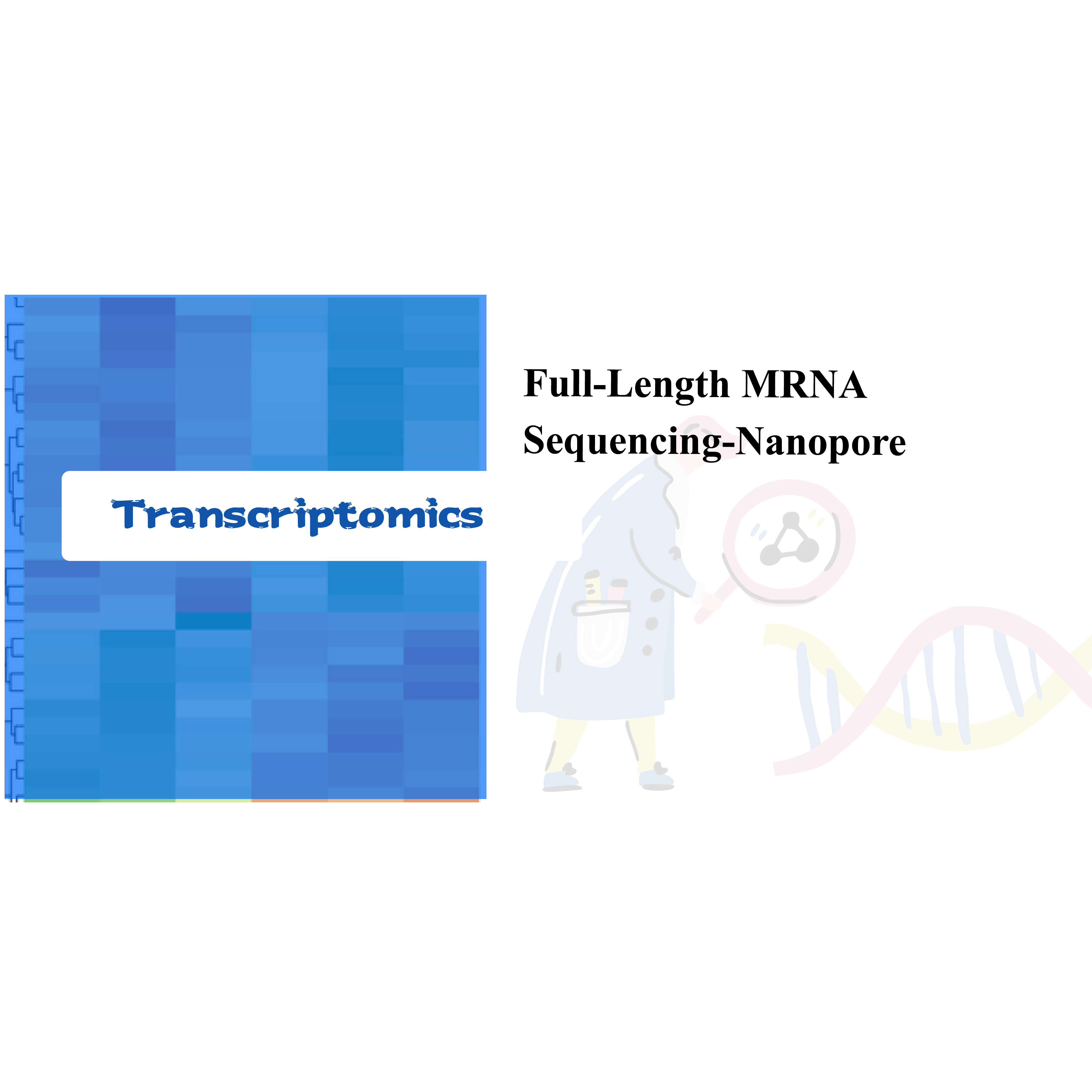 Vollständige mRNA-Sequenzierung – Nanopore