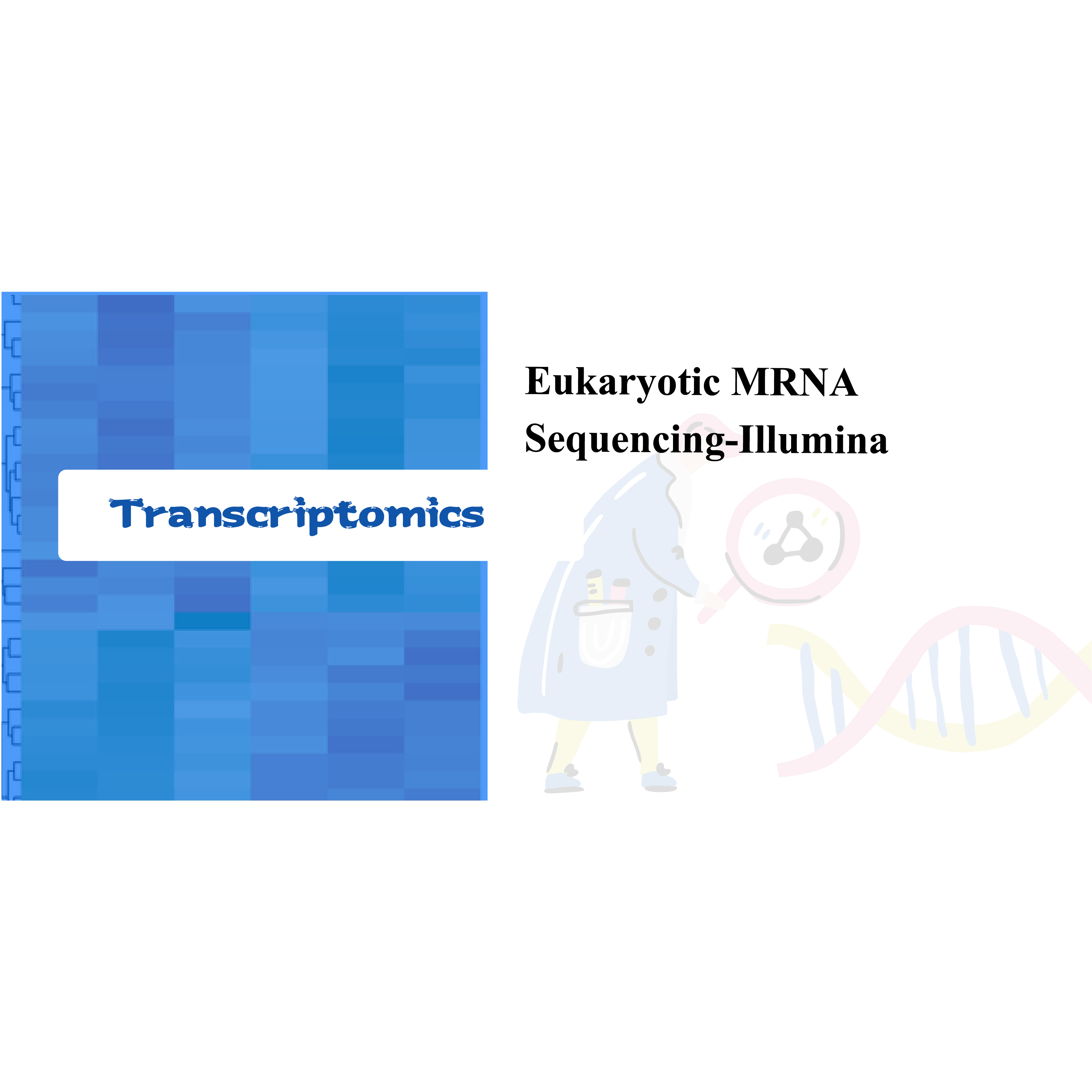 Imagem em destaque de sequenciamento de mRNA eucariótico-Illumina