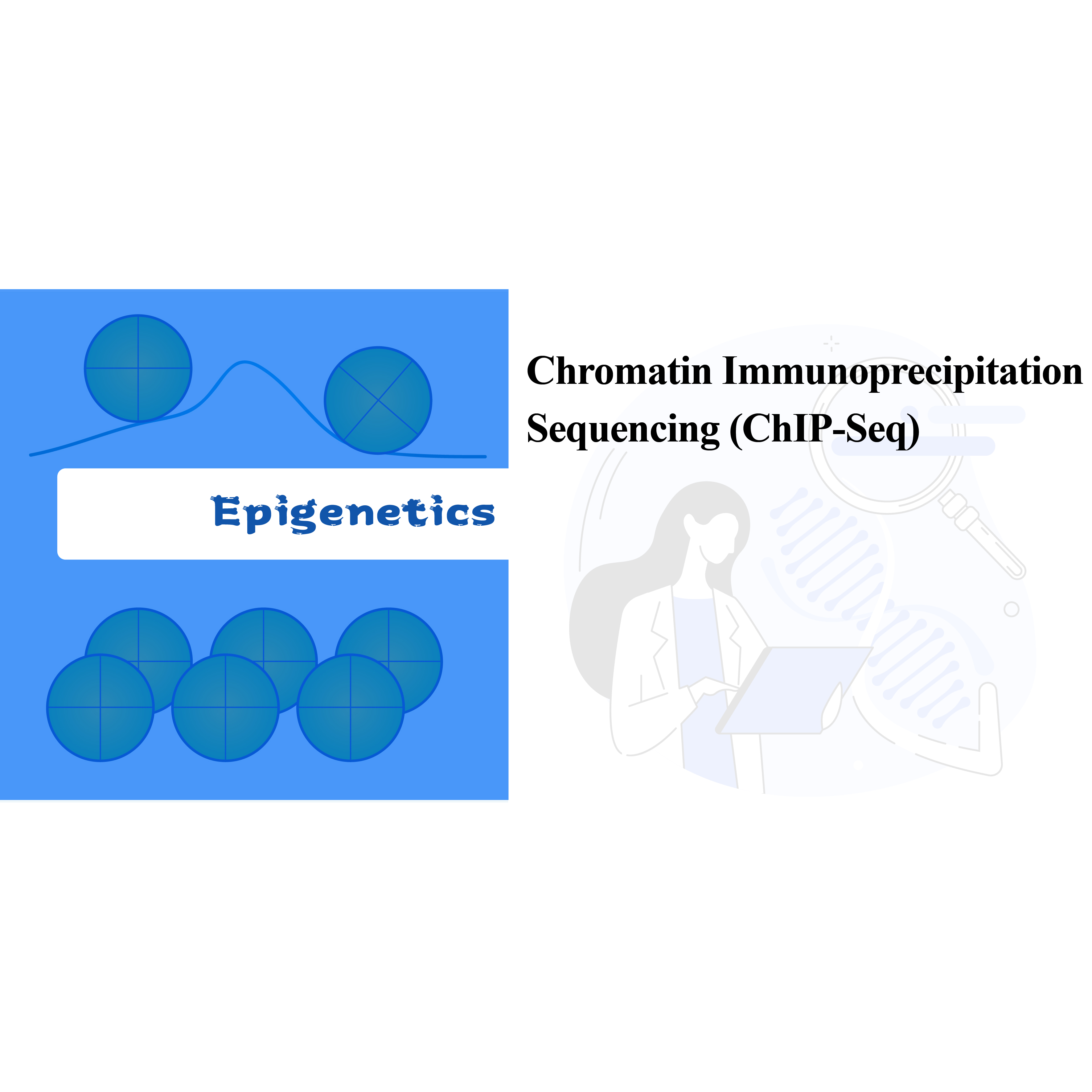 Sequenza di l'immunoprecipitazione di cromatina (ChIP-seq)