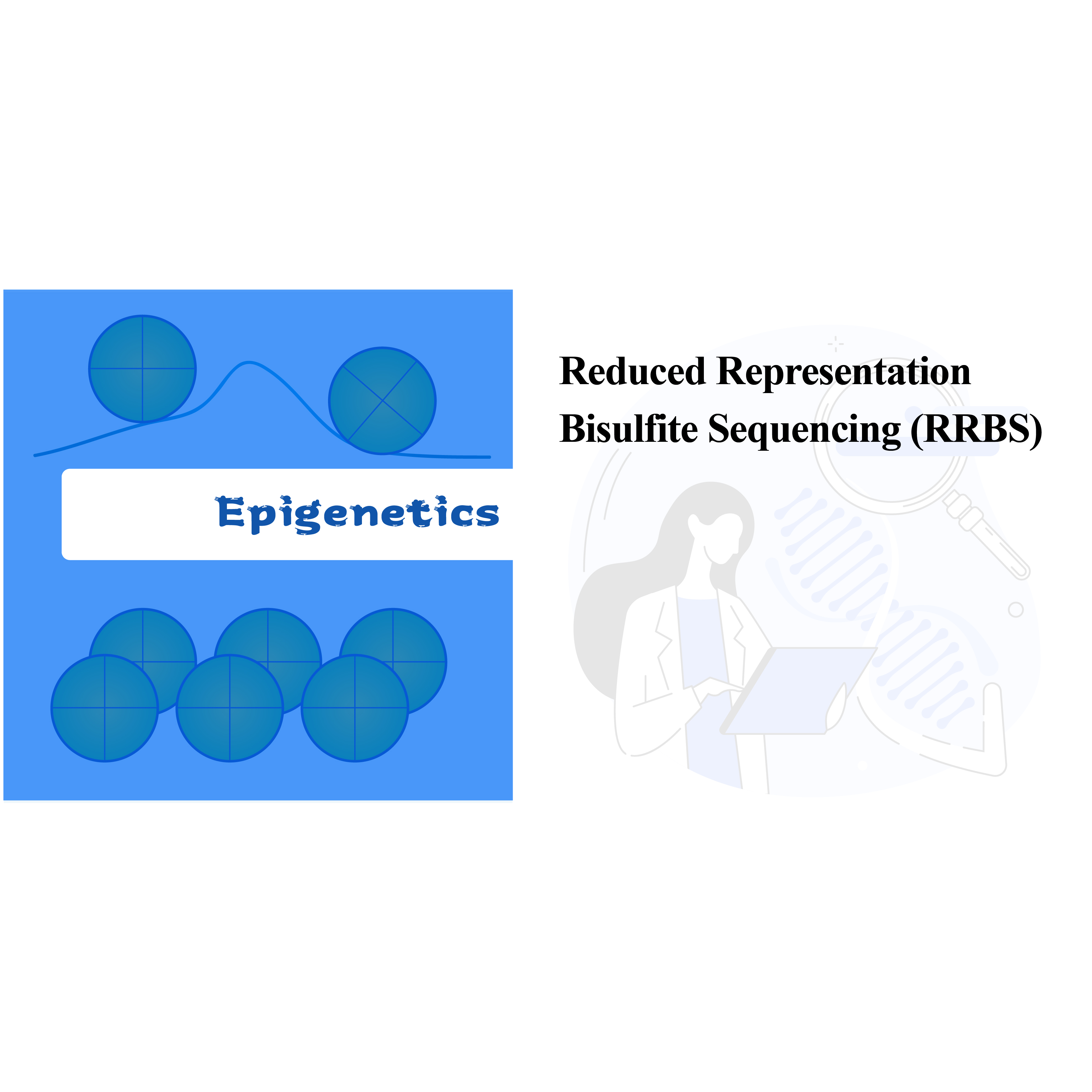 Secuenciación de bisulfito de representación reducida (RRBS)