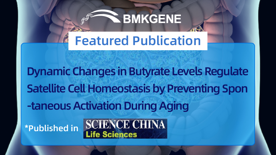 Featured Publication—Dynamic Changes in Butyrate Levels Regulate Satellite Cell Homeostasis by Preventing Spontaneous Activation During Aging