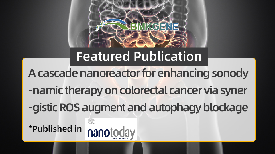 Featured Publication—A cascade nanoreactor for enhancing sonodynamic therapy on colorectal cancer via synergistic ROS augment and autophagy blockage
