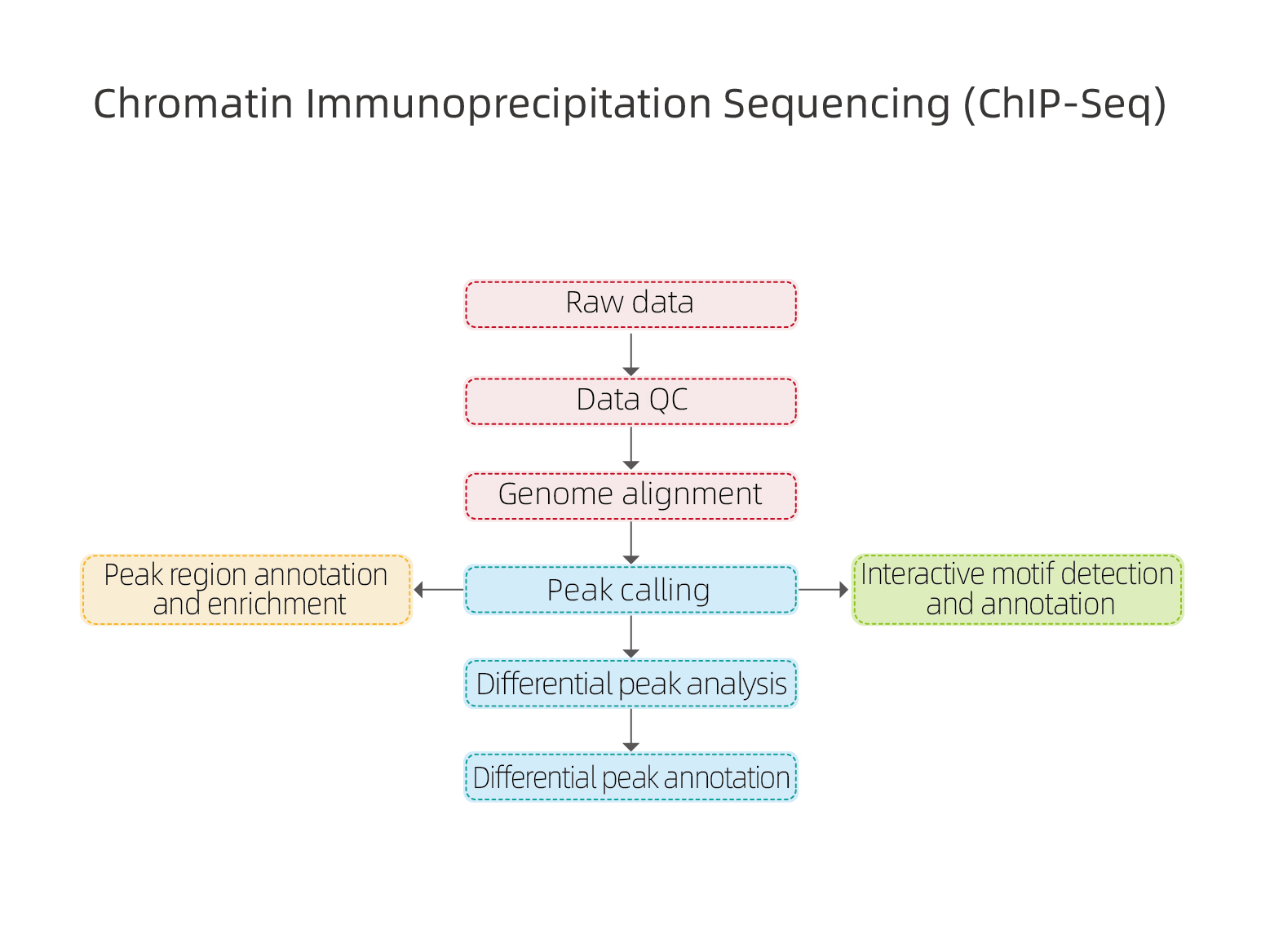Chromatine Immunoprecipitation Sequencing (ChIP-seq)