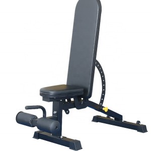 suidhe suas being Adjustable Gym Bench