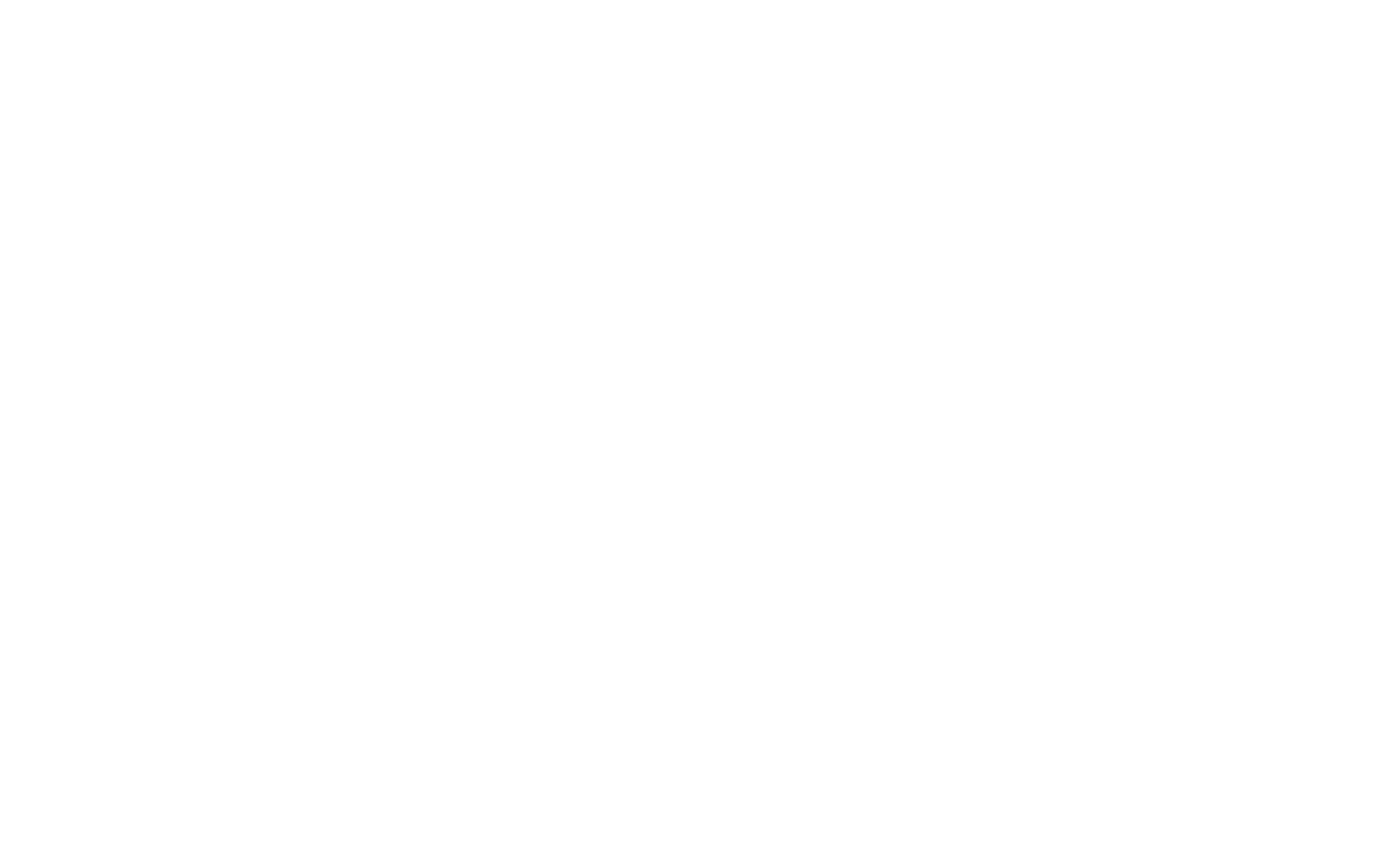 新logo (国外) BLG
