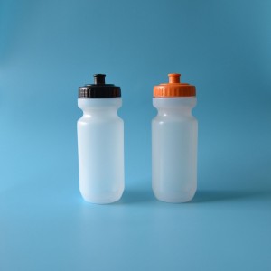 Manufacturer For Logo Motivational Water Bottle