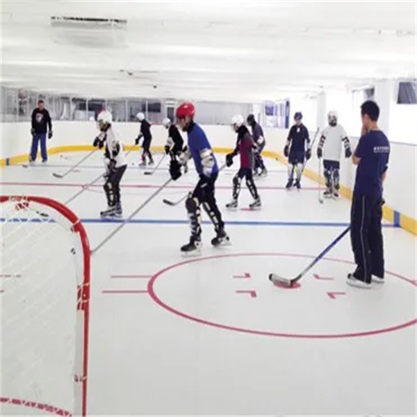 Top-rated And Dependable Inline Hockey Rink Plastic Sheet 