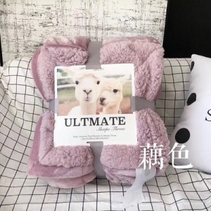 ULTMATE autumn and winter pop pure lamb wool blanket coral flannel blanket double-layer thickened cover blanket
