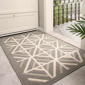 Household door mats home front door mat dust-removing wear-resistant and dirty-resistant porch carpets