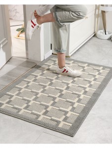 Household door mats home front door mat dust-removing wear-resistant and dirty-resistant porch carpets