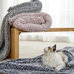 Fleece Sherpa Throw Blanket Queen Size- Super Fuzzy and Soft Blanket for Bed, Lightweight Warm Blanket for All Seasons