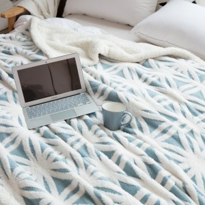 Cross border exclusive confession cation flannel thickened coral down jacquard stripe solid flower blankets