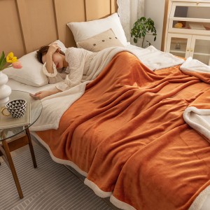 Cross border Amazon double-layer thickened cashmere blanket solid color composite Cashmere Blanket New Arctic cover blanket