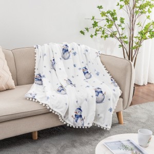 Blanket printing flannel double-sided blanket autumn and winter car cover blanket office nap blanket foreign trade blanket Christmas gift