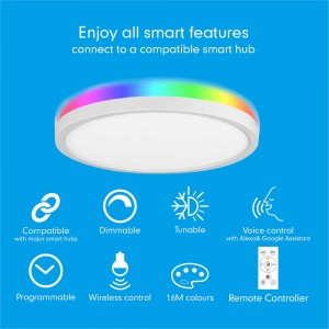 RGBCCT/CCT Smart led flush ተራራ ጣሪያ መብራት ከ16ሚሊየን ቀለሞች እና ተስተካክለው ነጭ/ብቻ ተስተካክለው ነጭ