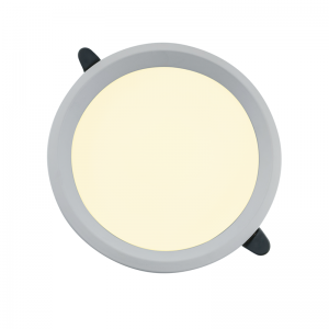 RGBCCT /CCT Màu đèn downlight thông minh cho tiêu chuẩn AU, US, EU, v.v. Với 16 triệu màu & màu trắng có thể điều chỉnh/chỉ màu trắng có thể điều chỉnh