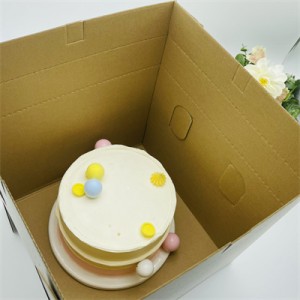 Boîte à gâteaux en carton ondulé de 10 pouces Fournisseurs en gros |Ensoleillement