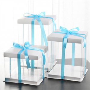Single Layer And Double Height Plastic Transparent Cake Box | Sunshine