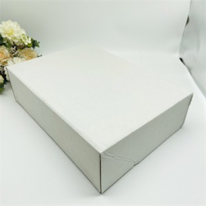 One Piece Cake Box Rectangular Wholesale | SunShine
