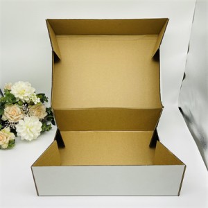 One Piece Cake Box Rectangular Wholesale |Sol