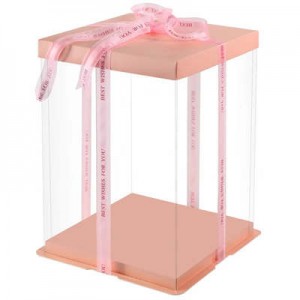 स्क्वायर गुलाबी पालतू पारदर्शी केक बॉक्स बेकरी निर्माता |धूप