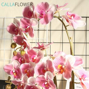 MW18904 jieunan Phalaenopsis Orchids Nyata Toel Latex Kukupu renget Orchid Kawinan Decor