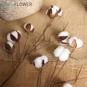 MW61188 Tallo de bola de algodón H75cm para decoración do fogar Novo deseño de flores secas naturais Algodón 6 cabezas Flores decorativas brancas e coroas CN;SHN