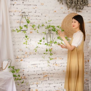 MW35422 Hot Spider Plant Umjetno lišće Kvalitetna simulacija zidne vanjske dekoracije za vjenčanje