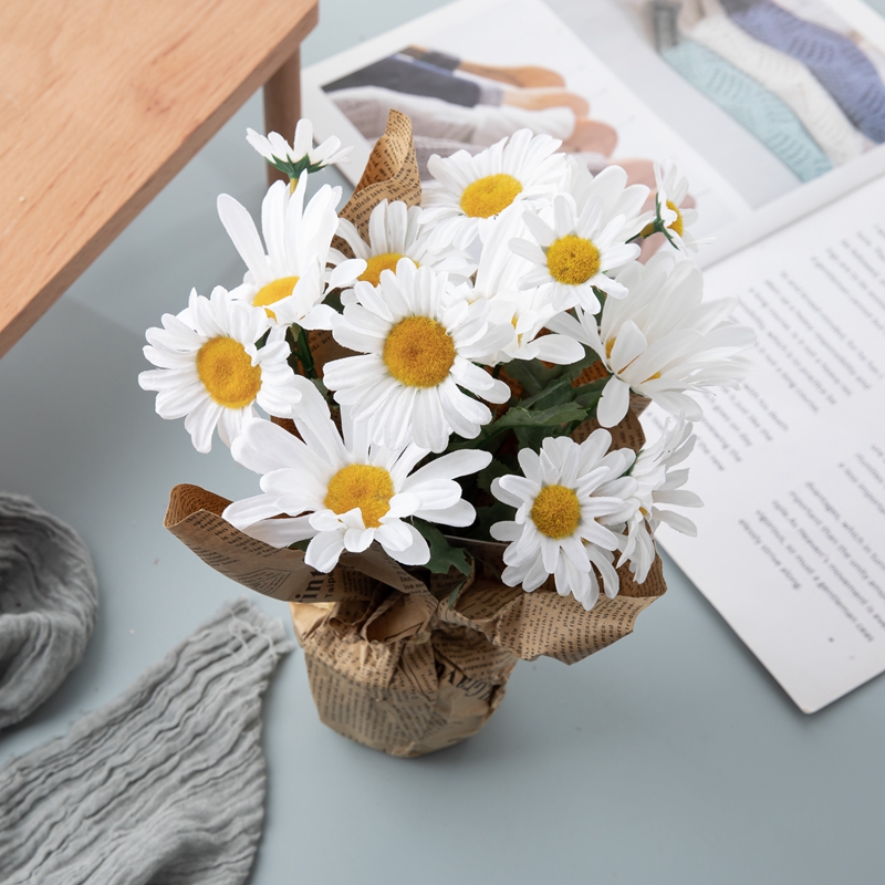 DY1-2198 Bonsai Chrysanthemum Aukštos kokybės dekoratyvinės gėlės ir augalai